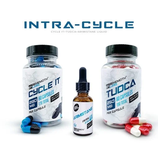 Intra-Cycle | Behemothlabz