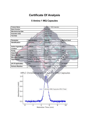 BEHEMOTH LABZ 5 Amino 1 MQ