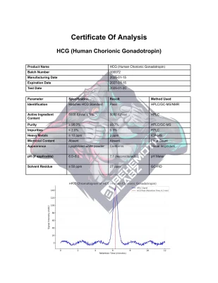 BHMTH HCG (Human Chorionic Gonadotropin)
