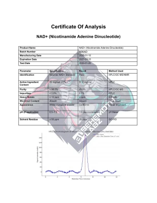BHMTH NAD+ (Nicotinamide Adenine Dinucleotide)