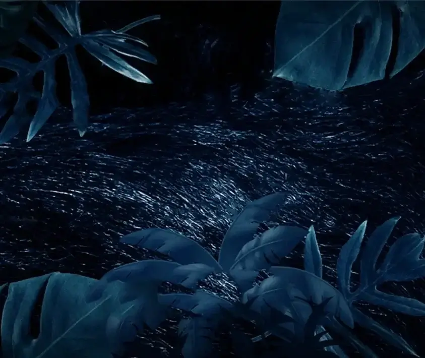 Top Categories | Background Image